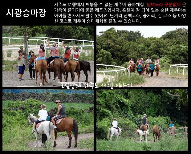 서광자동차랜드 이미지
