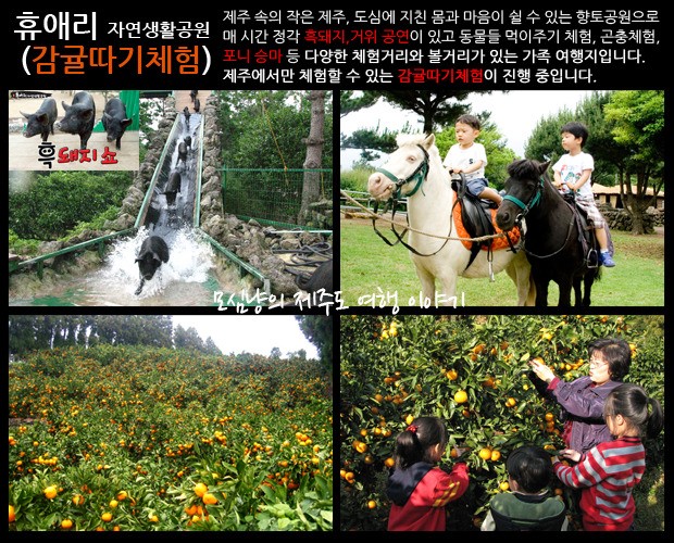 서광자동차랜드 이미지