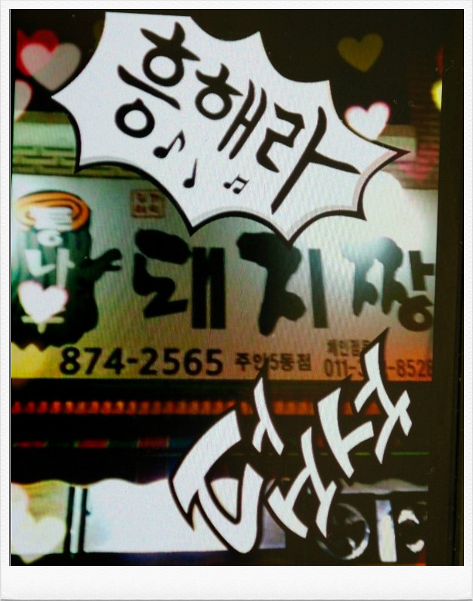 통나무돼지짱 이미지