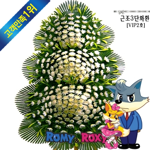 강릉아나병원장례식장 이미지