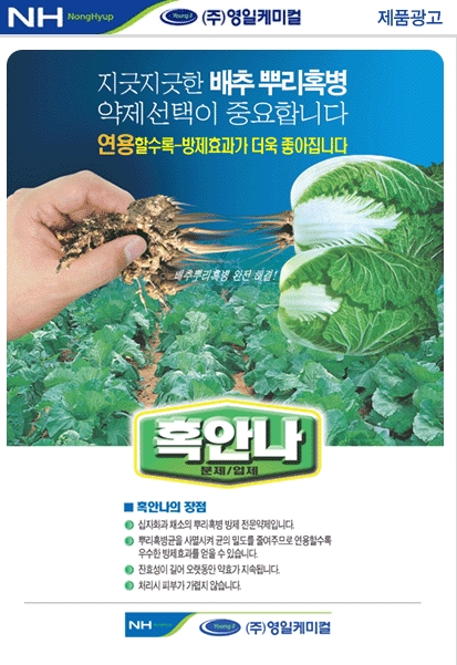 영일광고 이미지