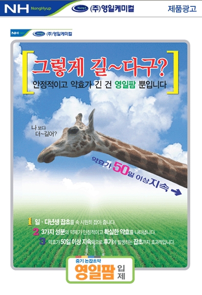 영일광고 이미지