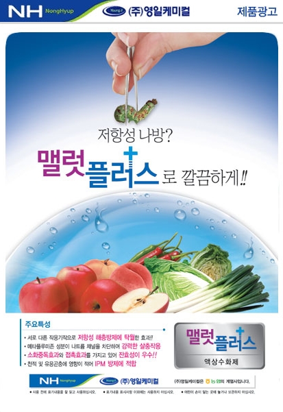 영일광고 이미지