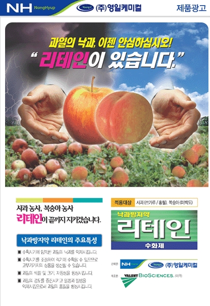 영일광고 이미지