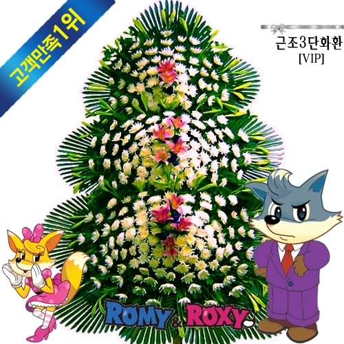 파라밀장례식장 이미지