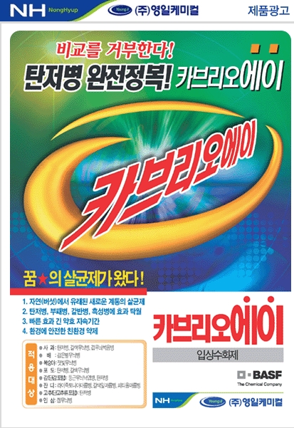영일광고 이미지