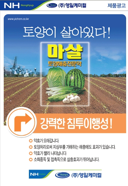 영일광고 이미지