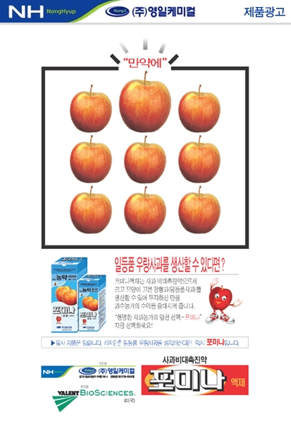 영일광고 이미지