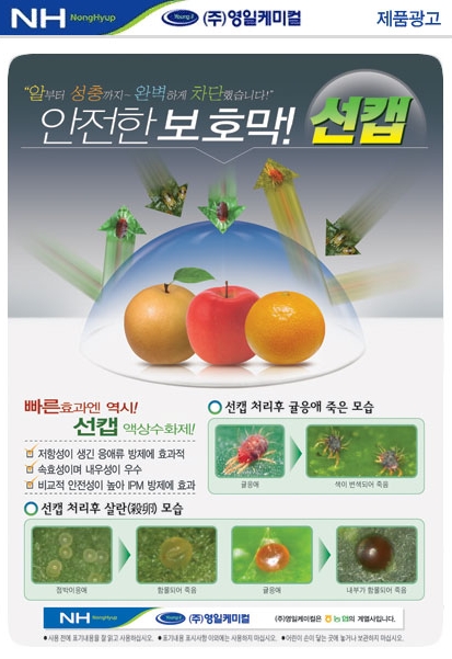 영일광고 이미지