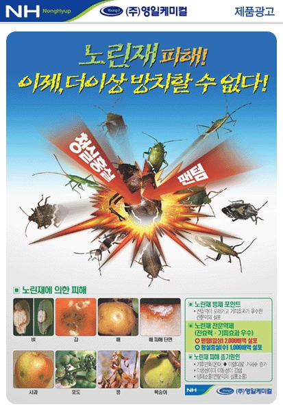 영일광고 이미지