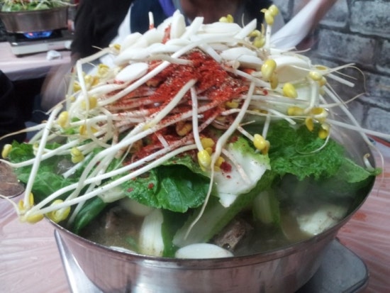 청산오리 이미지