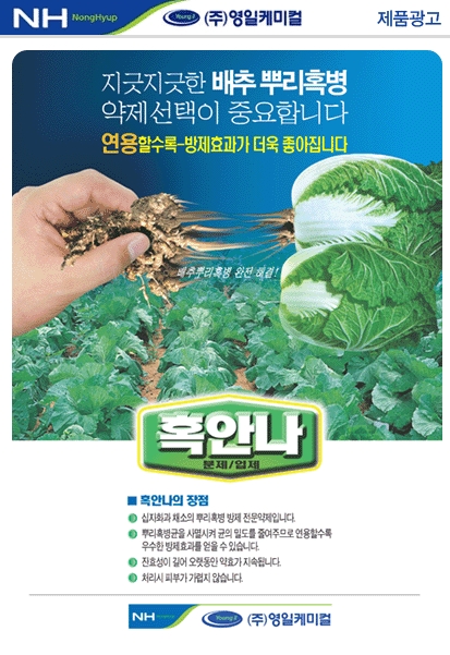 영일광고 이미지