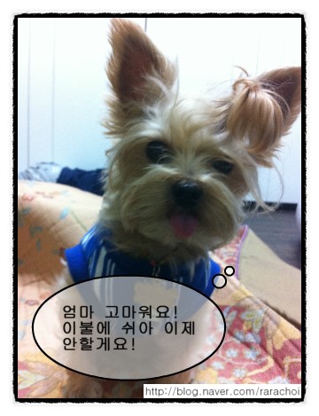 슈퍼마켓맘 이미지
