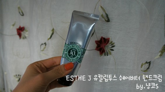 에스티제이 이미지
