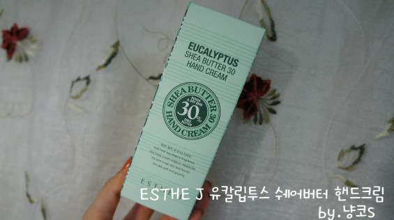 에스티제이 이미지
