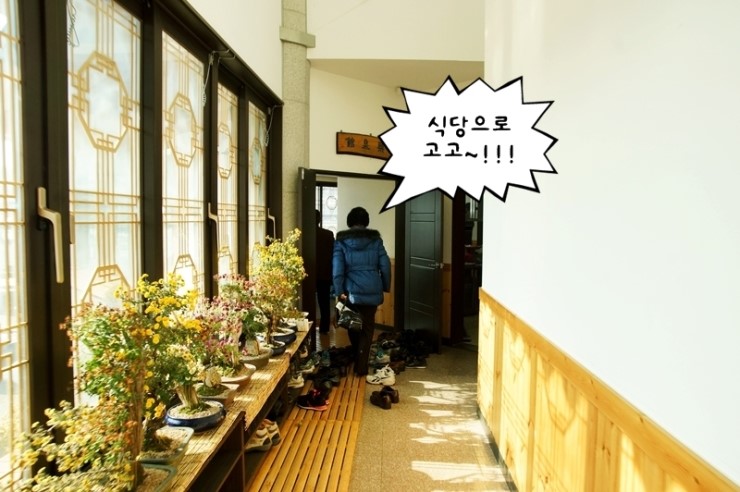 거북이권역 이미지