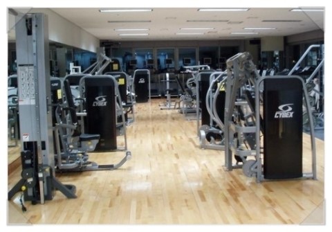신우종합스포츠 이미지
