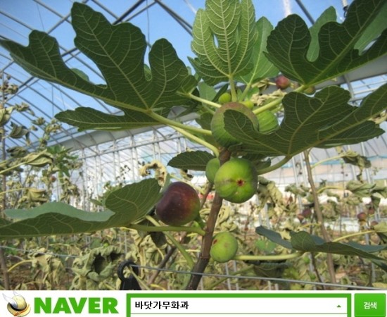 신안건재 이미지