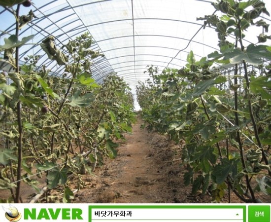 신안건재 이미지