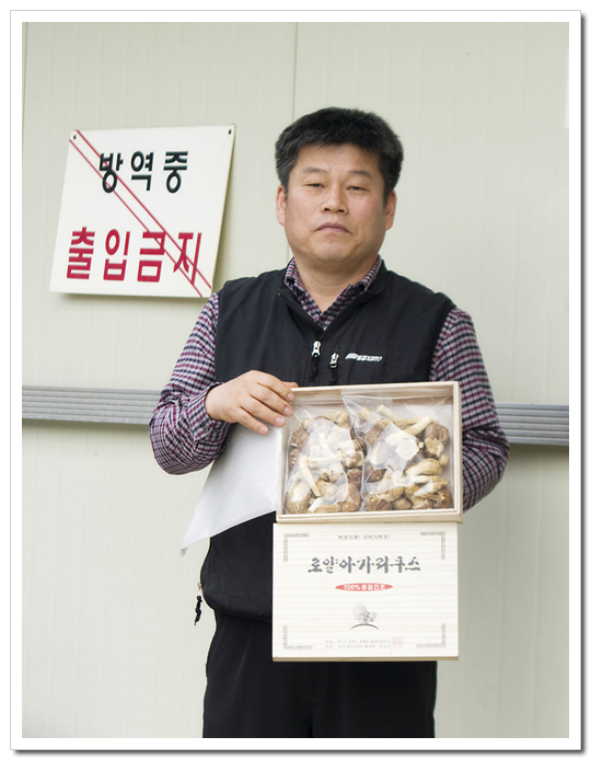 김상민아가리쿠스 이미지