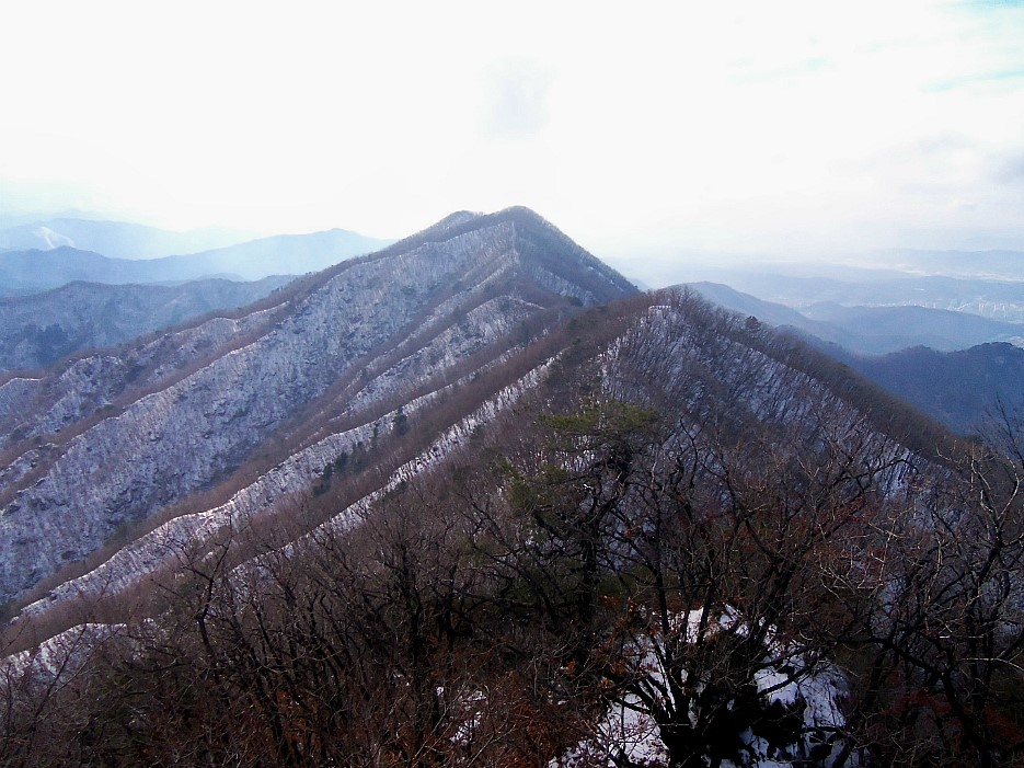 철마산 조망 이미지