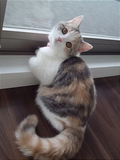 네일더예쁜눈 이미지