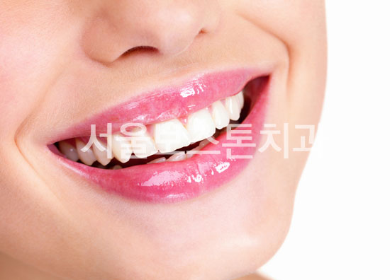 하얀이 이미지