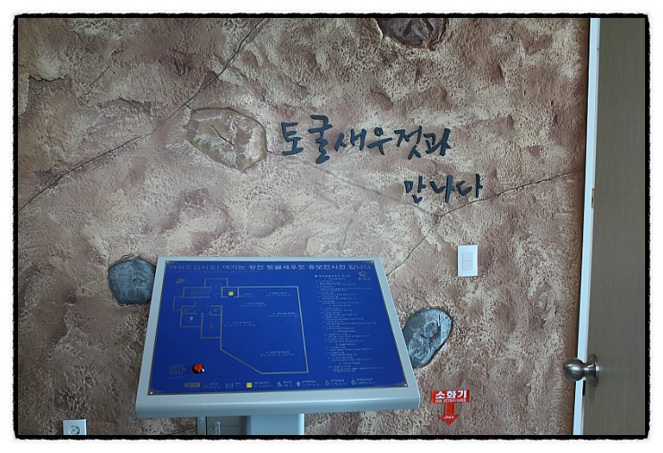 광천 진 새우젓 이미지