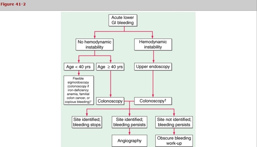 gi-bleeding-management-algorithm-harrison-cecil