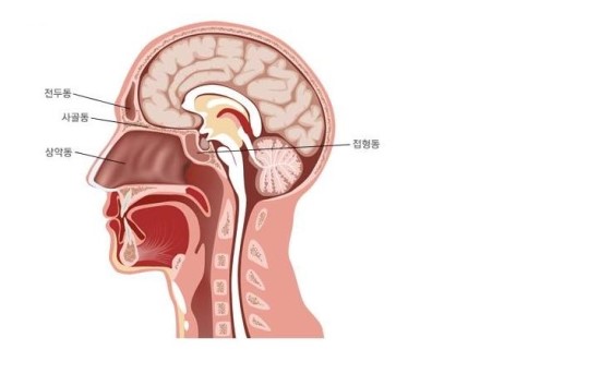 경희가인한의원 이미지