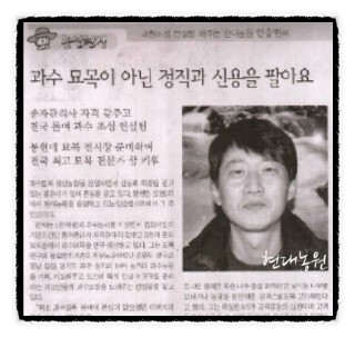 나무컨설팅 이미지