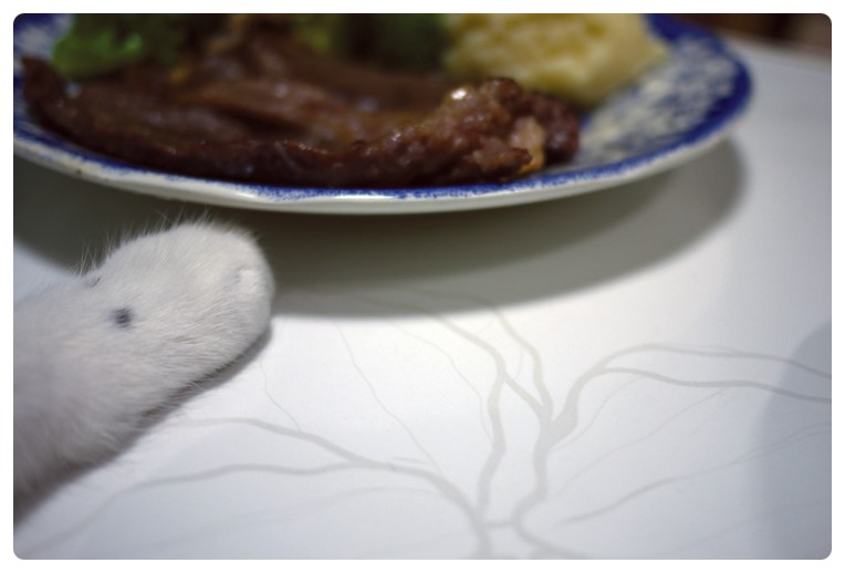(주)자연채움 이미지