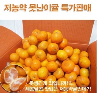 인제주카페 이미지