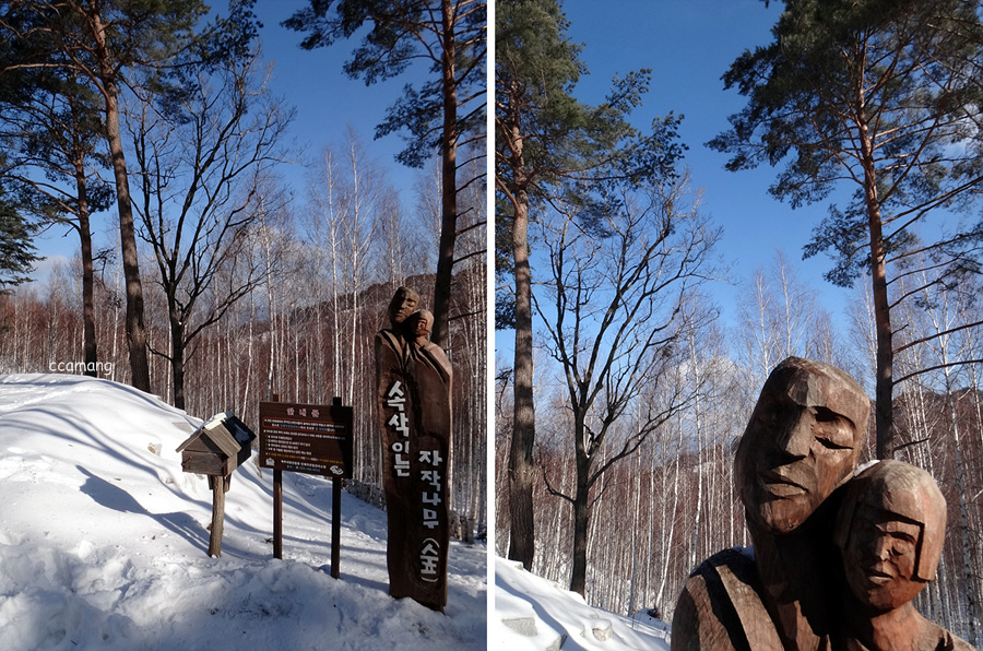 산67번지 이미지