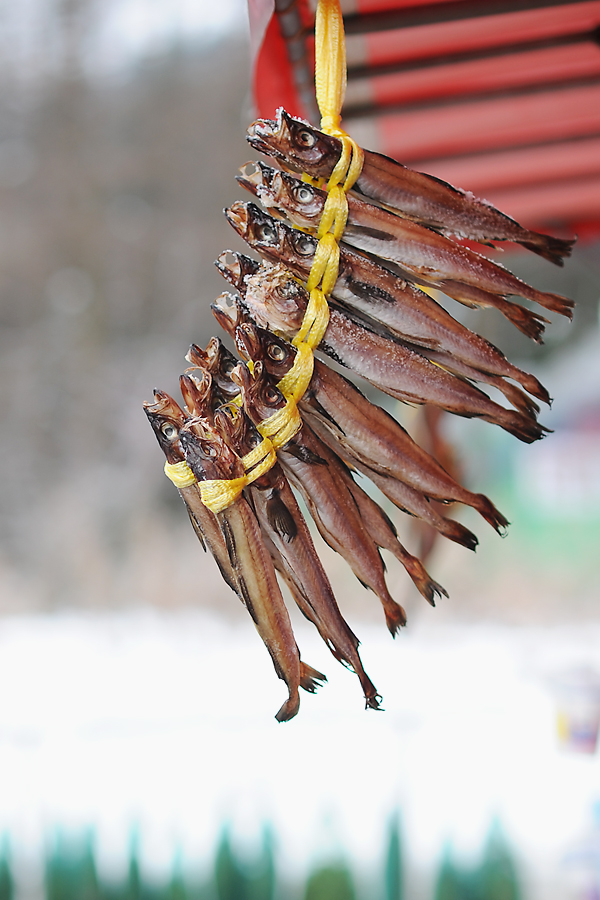 부일식당 이미지