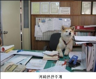 예나미용실 이미지