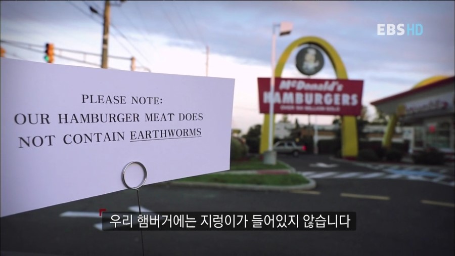 빨간코끼리 이미지