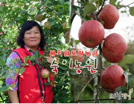 알토랑 이미지
