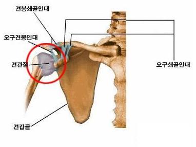 나래병원 이미지