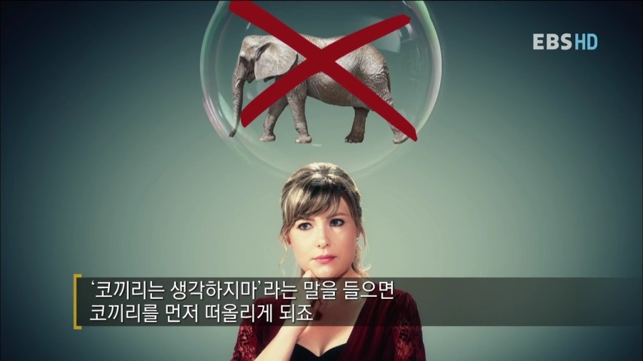 빨간코끼리 이미지