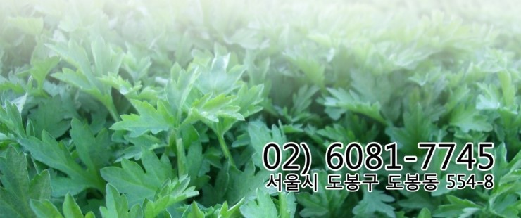 프린아트 이미지