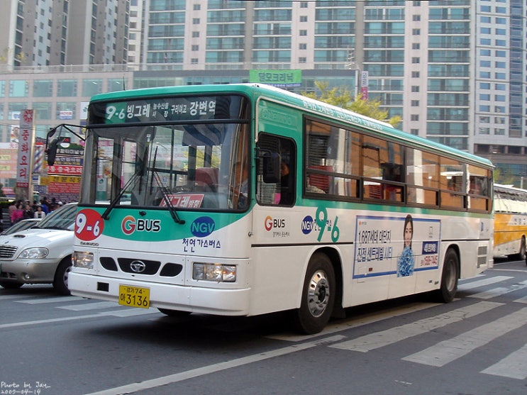 빙그레운수 이미지