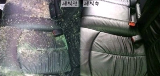 곰세차 이미지