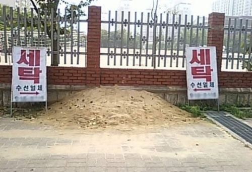 진세탁소 이미지