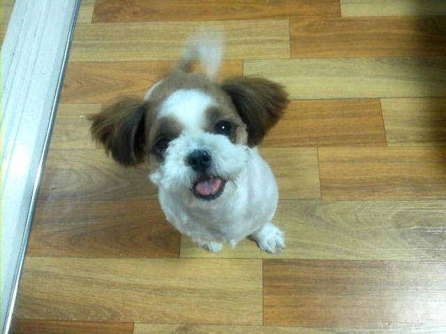 (주)어머니김 이미지