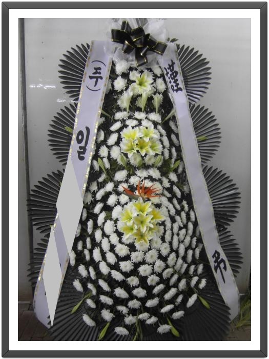 의료법인 양평의료재단(양평병원) 이미지