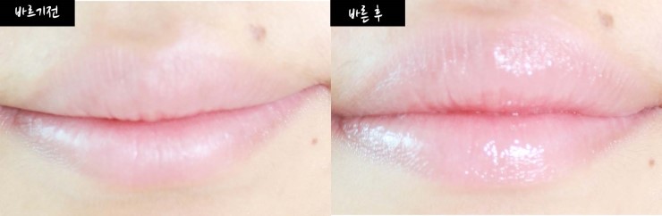 엘렌헤어 이미지