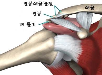 나래병원 이미지
