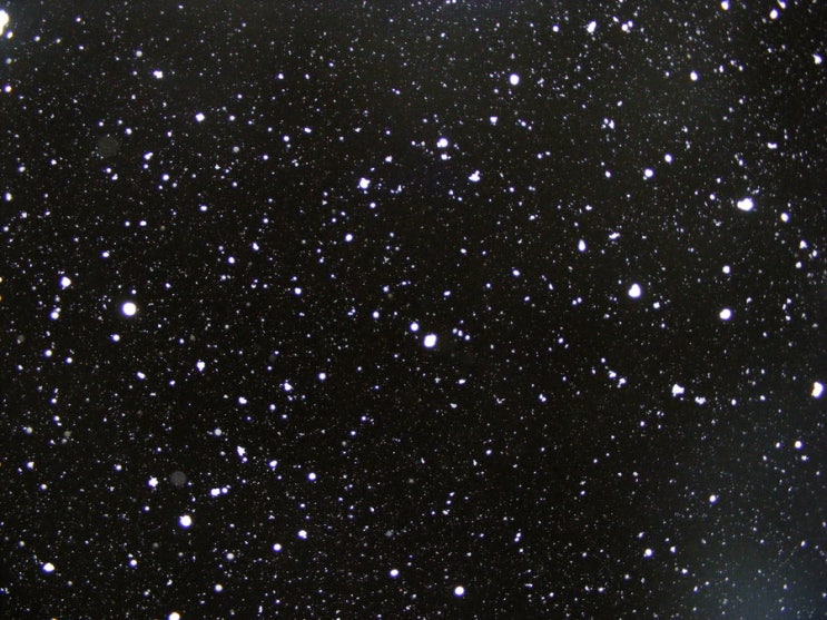 TEXTURE(텍스쳐) 이미지