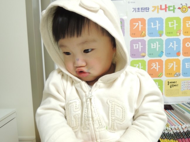 돌콩새 이미지